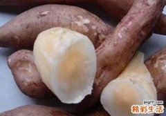 雪莲果不能和什么一起吃