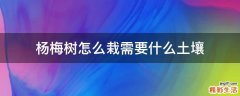 杨梅树怎么栽需要什么土壤
