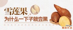 雪莲果为什么一下子就变黑 怎么防止雪莲果变黑