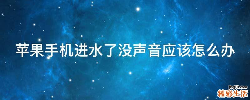 苹果手机进水了没声音应该怎么办