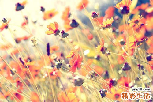 2 教你了解如何选择正确的防晒霜