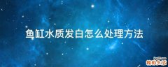 鱼缸水质发白怎么处理方法