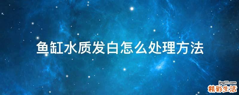 鱼缸水质发白怎么处理方法