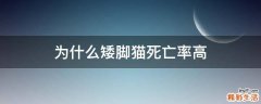 为什么矮脚猫死亡率高