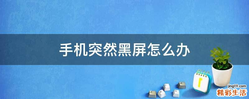 手机突然黑屏怎么办