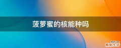 菠萝蜜的核能种吗