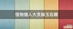 怪物猎人大灵脉玉在哪