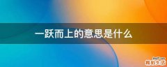 一跃而上的意思是什么