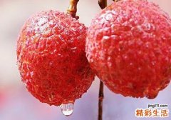荔枝宝宝可以吃吗