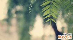 3 排毒按摩操让你的肌肤充满活力
