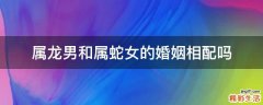 属龙男和属蛇女的婚姻相配吗