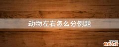 动物左右怎么分例题