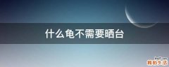 什么龟不需要晒台