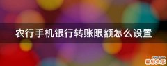 农行手机银行转账限额怎么设置