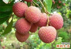 女性经期可以吃荔枝吗 月经期吃荔枝有什么好处
