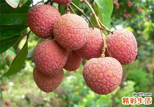 女性经期可以吃荔枝吗 月经期吃荔枝有什么好处