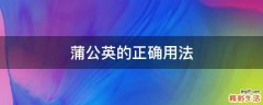 蒲公英的正确用法