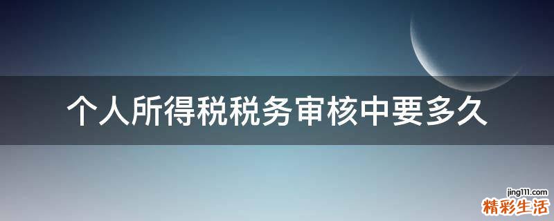 个人所得税税务审核中要多久