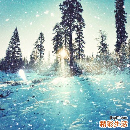 老年人得抑郁症怎么办