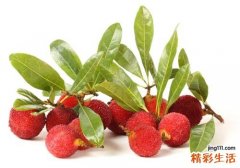 杨梅发霉了还能吃吗