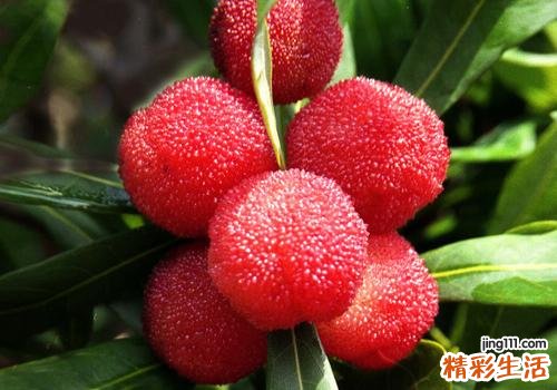 吃杨梅要不要吐核 吃了杨梅核怎么办