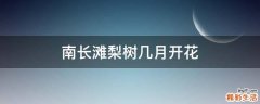 南长滩梨树几月开花