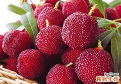 杨梅放冷冻可以放多久 吃冷冻的杨梅要解冻吗