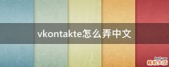 vkontakte怎么弄中文