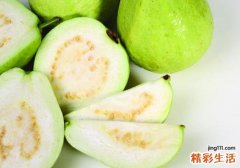 番石榴炖瘦肉