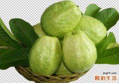 番石榴不能和什么一起吃 什么人不能吃番石榴