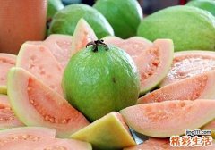 小孩能吃番石榴吗 小孩吃番石榴的好处