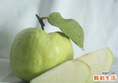 番石榴是脆的好还是软的好 感冒了可以吃番石榴吗