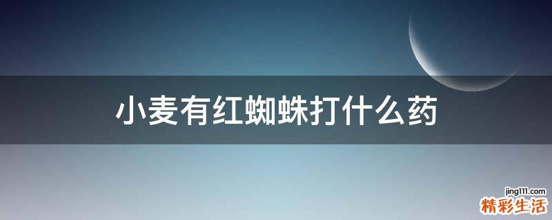 小麦有红蜘蛛打什么药