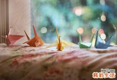 蓝黄色盲是怎么回事？