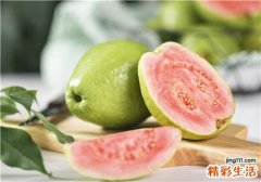 番石榴怎么样才算熟 怎么挑选番石榴