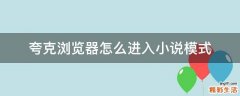夸克浏览器怎么进入小说模式