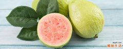 番石榴能多吃吗 番石榴吃多了会怎样