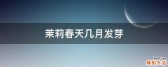 茉莉春天几月发芽