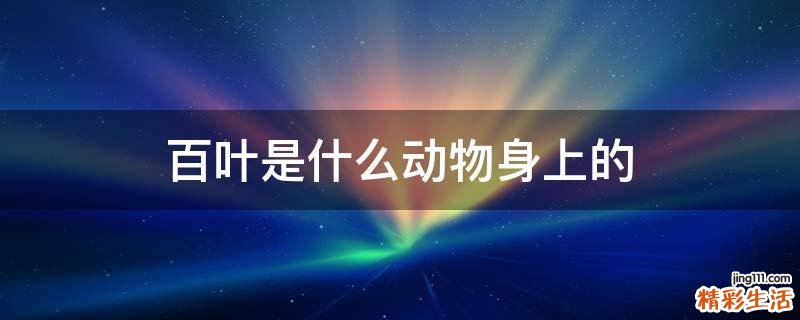 百叶是什么动物身上的