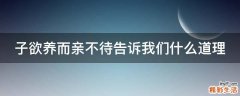 子欲养而亲不待告诉我们什么道理