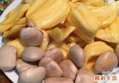 菠萝蜜粘液怎么洗掉 孕妇可以吃菠萝蜜吗