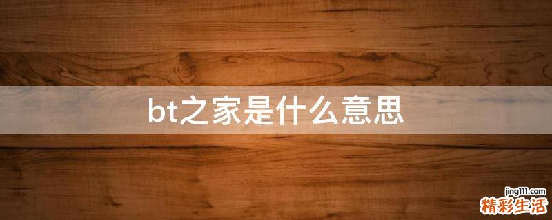 bt之家是什么意思