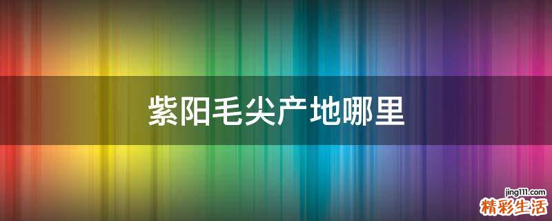 紫阳毛尖产地哪里