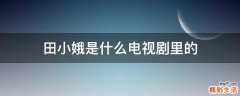 田小娥是什么电视剧里的