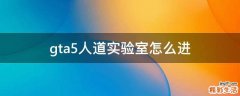 gta5人道实验室怎么进