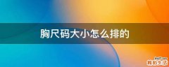 胸尺码大小怎么排的