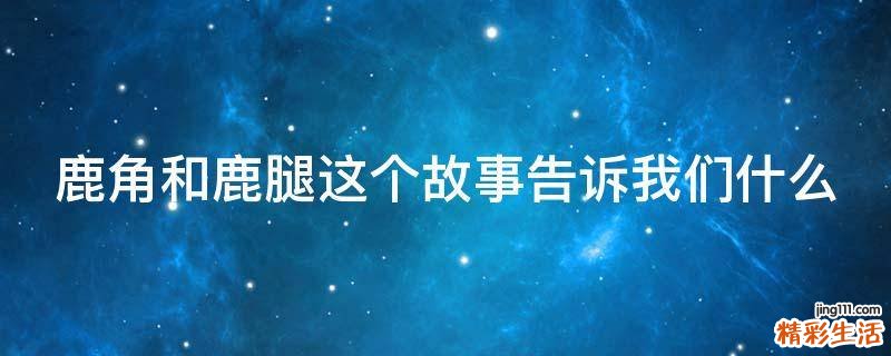 鹿角和鹿腿这个故事告诉我们什么
