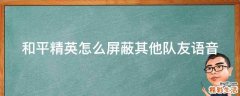 和平精英怎么屏蔽其他队友语音