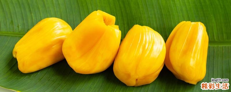 菠萝蜜放冰箱放了10天能吃吗 菠萝蜜买回来很硬能放熟吗