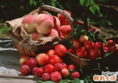 桃子里面发黑还能吃吗